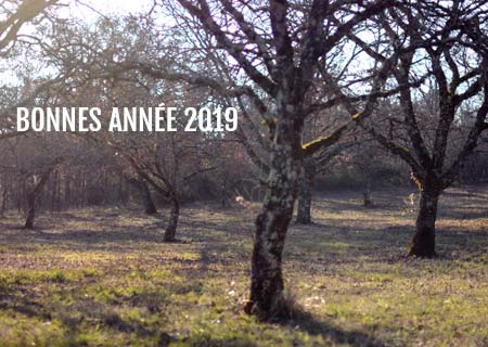 Bonne année 2019 - Truffes de Montcuq